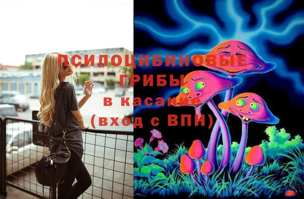 spice Ступино